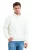 JUSTEVER Regular Fit Heren Sweatshirt met Opstaande Kraag, Semi-Zipper en Verhoogde Ecru – Prime