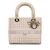 Dior Book Tote Oblique Canvas Handtas
