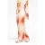 Ibana Palmtri Rosy Blush