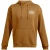 Under Armour Heren-hoodie met lange mouwen en Genie-print (Geel)