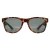 Superdry Rechthoek Heren Havana Groen Alfie