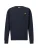 Carhartt WIP Sweatshirt ‘American Script’  blauw