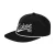 Snapback pet DC Shoes Substitute
