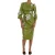 Dolce & Gabbana Groene Roze Rozenprint Sheath Jurk