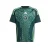 ADIDAS PERFORMANCE Functioneel shirt ‘Algeria 24’  lichtgroen / donkergroen / wit