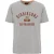 Katoenen T-shirt Didriksons Harald Collegiate