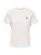 JDY Shirt ‘JDYPISA’  rood / wit