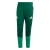 ADIDAS PERFORMANCE Sportbroek ‘Algerien 26’  groen / spar / wit
