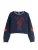 Next Trui  navy / rood / wit