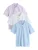 Next Shirt  lichtblauw / lavendel / wit