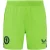 Castore Dames/Dames Aston Villa FC keepershort (Groen/Kaviaar)