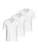 IMPETUS Shirt  wit