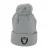 Pet New Era Oakland Raiders logo