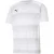 Puma Heren teamvision jersey