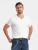 Ombre Shirt  wit