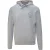 Aquascutum Aldis Emblem Logo Grey Hoodie