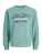 JACK & JONES Sweatshirt  turquoise / donkerblauw / wit