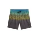 O’Neill zwemshort Logo Stripe bruin/turquoise