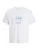 JACK & JONES Shirt ‘JORSoutheast Gallery’  azuur / donkergrijs / smaragd / wit