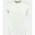 Dstrezzed T-shirt korte mouw Groen DS_Nickolas Tee 202876-SS25/561