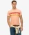 Terrain Gestreept T-shirt met Relaxte Pasvorm en Logo Pink