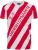 Hummel Functioneel shirt ‘DBU 26 Fan Dynamite’  rood / wit