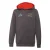 ADIDAS PERFORMANCE Sportief sweatshirt ‘Audi Revolut F1 Team’  grijs / lichtgrijs