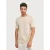 Blue Industry Het gestreepte t-shirt |