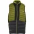 Regatta Heren Leedre Hybride Gilet (Nefriet groen/zwart)
