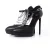 Saint Laurent D’orsay platform pump
