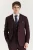 Heren wijnpakblazer Prince of Wales formeel blazer