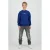 Raizzed sweater met backprint blauw