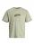 JACK & JONES Shirt ‘JCOSPRAY’  lichtgroen