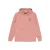 Hoodie Billabong Foundation PO