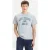 Levi’s Ss Printed T-shirt Grey