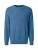 PIERRE CARDIN Trui  blauw