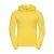 Hoodie Russell Athletic