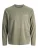 JACK & JONES Shirt ‘JJCocnz’  groen