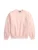 Polo Ralph Lauren Sweatshirt  lichtblauw / rosa