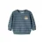 NAME IT BABY gestreepte sweater met borduursels – blauw