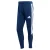 ADIDAS PERFORMANCE Sportbroek ‘Tiro 26 League’  blauw / wit