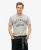 Superdry Mannen Surplus T-shirt met Print Grijs