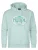 Petrol Industries – Heren Plus Size Hoodie met print CarreraSur – Groen