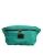 Groene Logo Plaque Nylon Heuptas Mannen Borse Tas