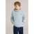 WE Fashion hoodie lichtblauw