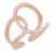 US Polo Assn Jewellery Stella roségouden ring
