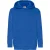 Fruit of the Loom Lichtgewicht hoodie kinderen/kinderen
