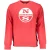 Crew Neck Sweatshirt Ns Classic Model