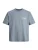 Jack & Jones Junior Shirt ‘JORNorrebro’  grijs / wit