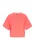 DreiMaster Maritim Sweatshirt  koraal